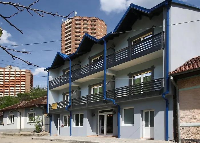 Pensiunea Floare De ColtPensiune